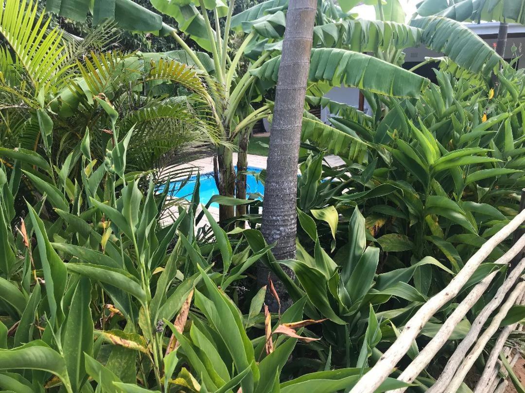 Villa 62 Hornbill Street Saint Lucia Estuary Exterior foto